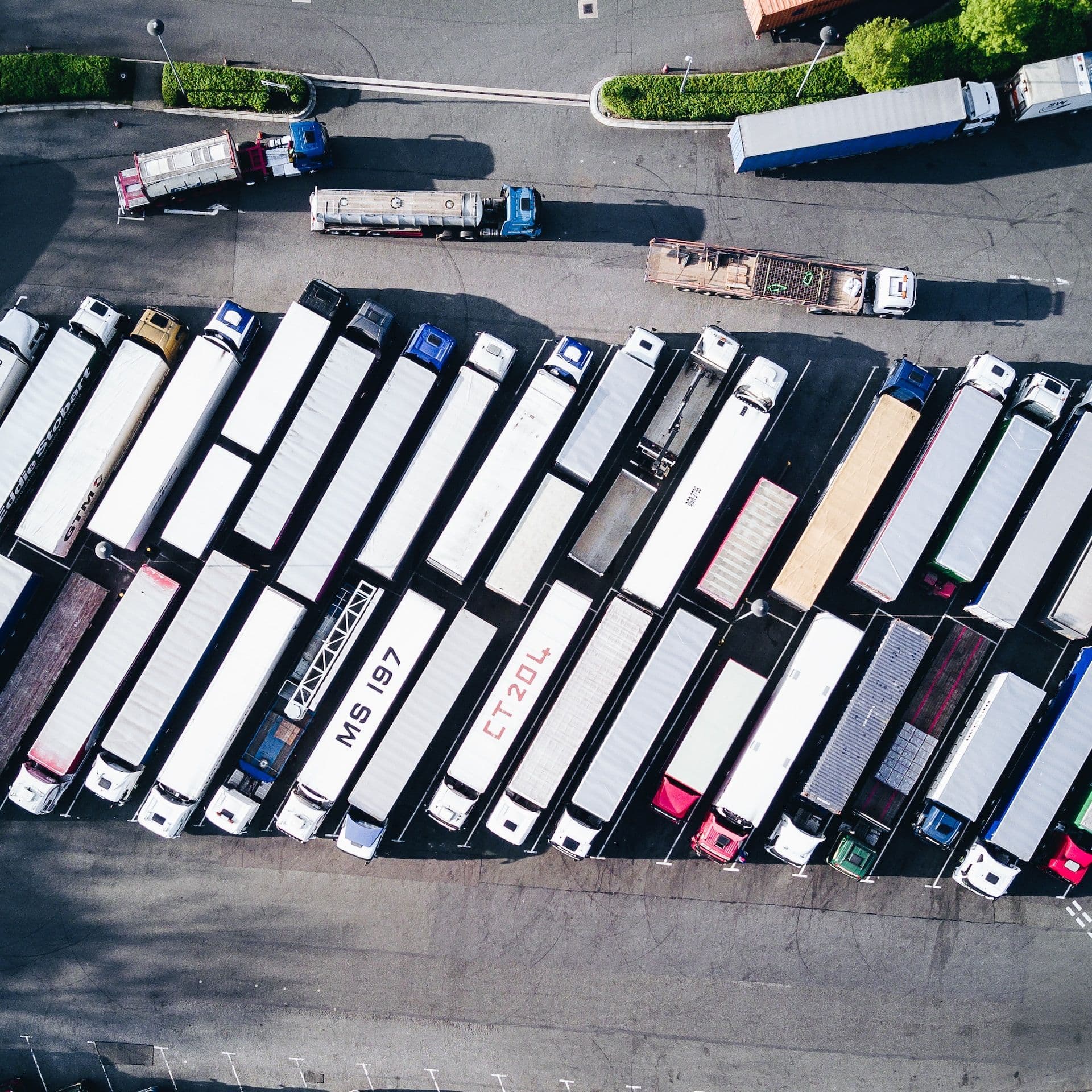 Spotify's WHAT THE TRUCK?!? 2024 Wrapped: A Year of Growth, Innovation and Milestones